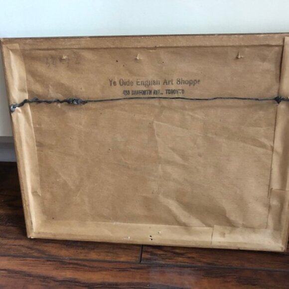 effie smith photo chrysanthemum - Picture 2 of 2